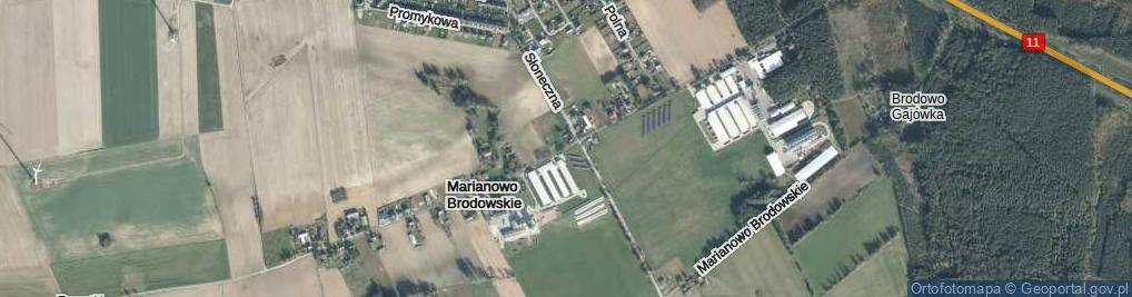 Zdjęcie satelitarne Marianowo Brodowskie ul.